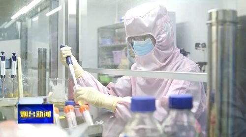 生物医药产业园区百强榜揭晓 烟台黄渤海新区一类新药上市数量居榜首